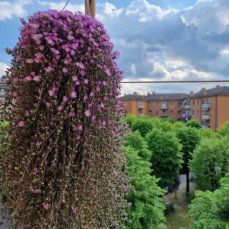 Ciao Bed And Kitchen