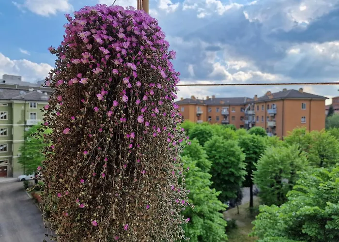 Ciao Bed And Kitchen