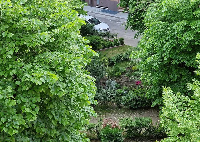 Ciao Bed And Kitchen